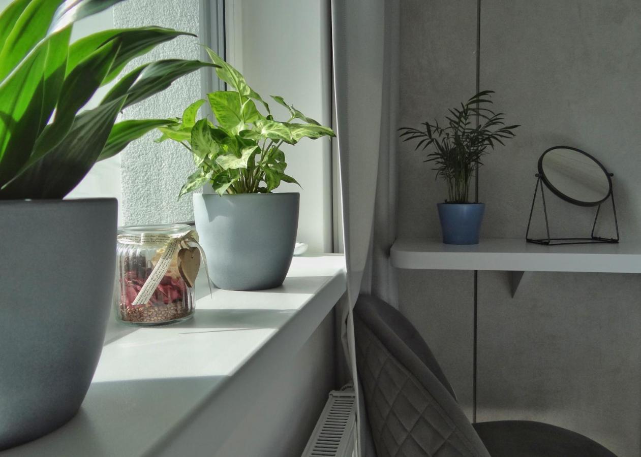 Top Urban Apartment - Free Parking, Green Energy, Modern Style Μπρατισλάβα Εξωτερικό φωτογραφία